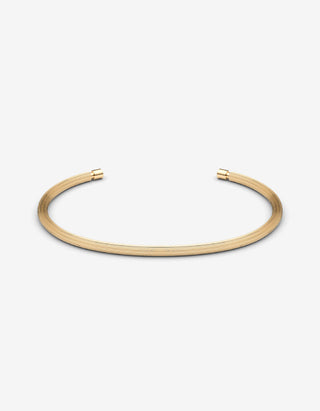 Polished Gold
